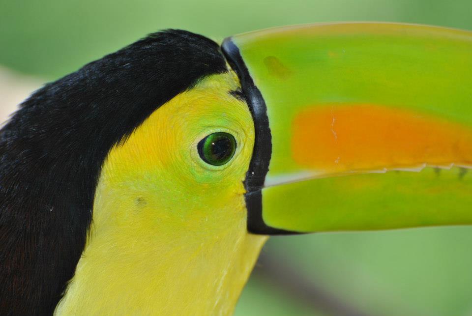 Hotel SC - Foto principal